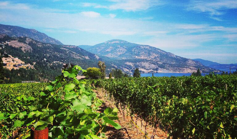 BC Wine Lovers To Sip Into Summer Along The Westside Wine Trail On June Th Scout Magazine