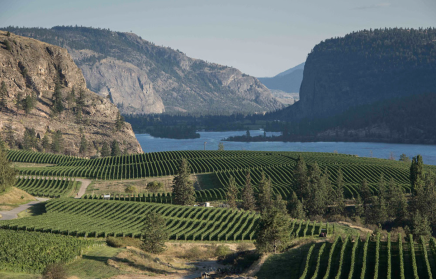 Blue Mountain Vineyard & Cellars – Scout Magazine