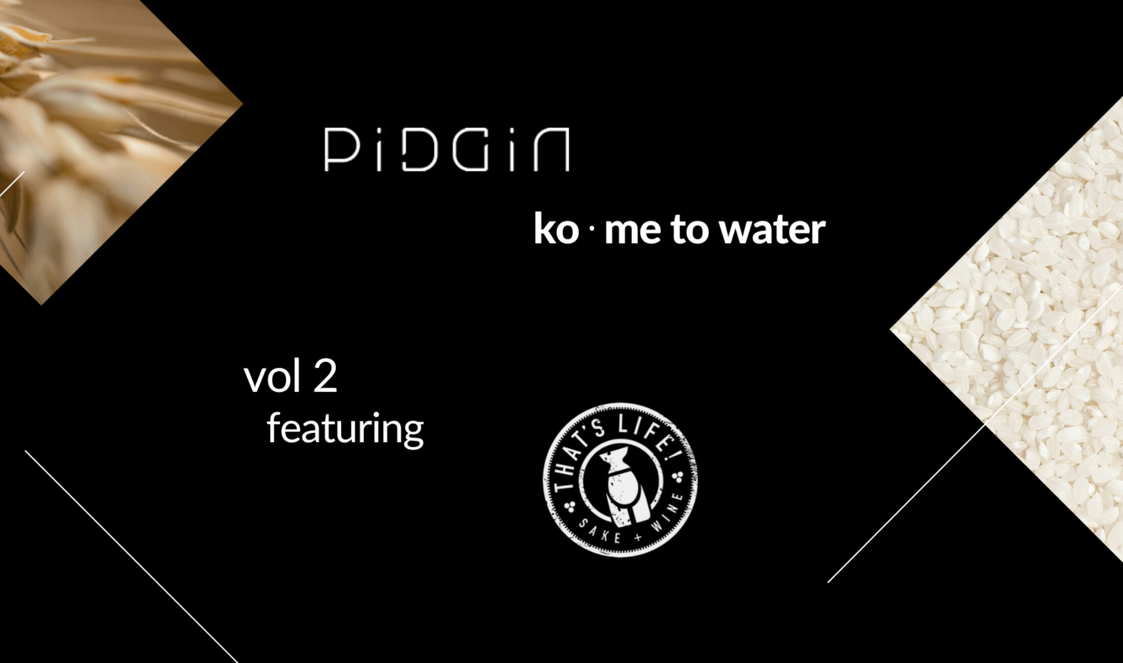 2月28日，与Michihiro Kawano一起参加PiDGiN的“Ko•me to Water”