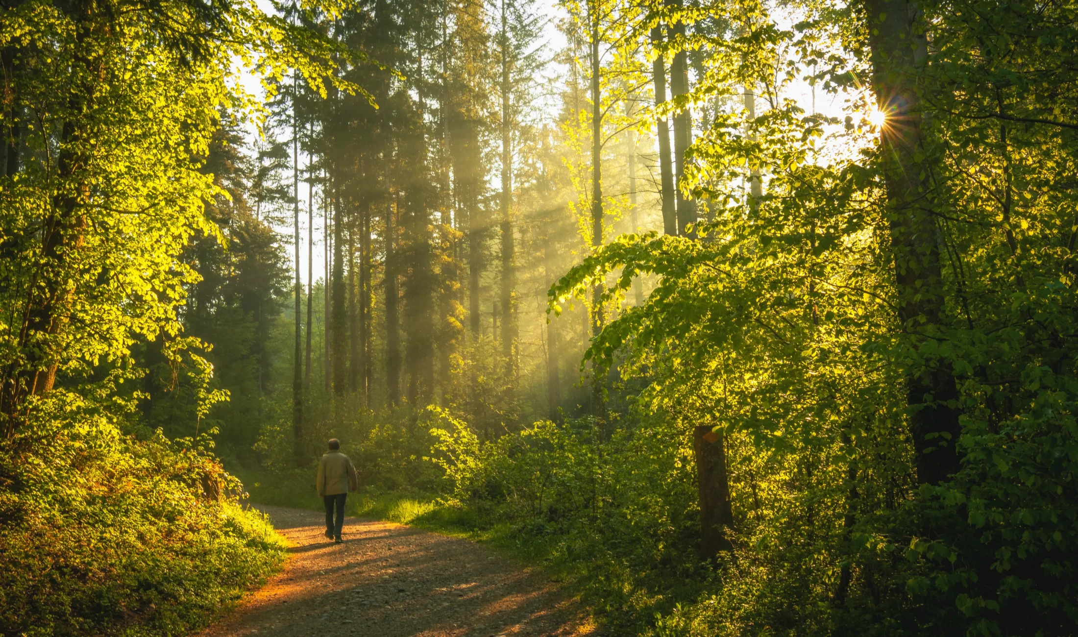 Roll Up Your Sleeves and Reconnect with Food, Land, and Community at UBC Farm This Summer